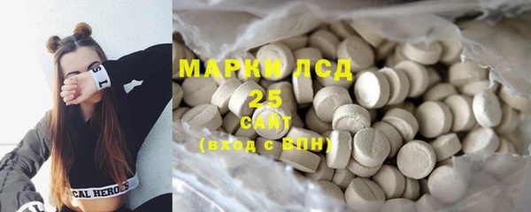 крисы Медногорск