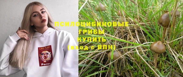 mdpv Медвежьегорск