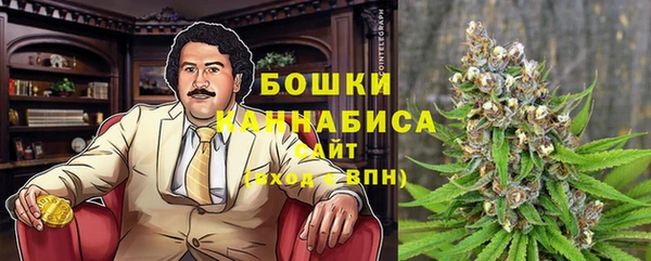 mdpv Медвежьегорск
