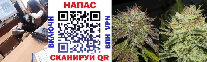 Бошки Шишки индика  дарнет шоп  Новосиль 
